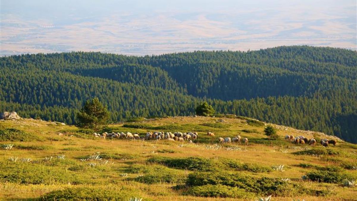 Εξισωτική αποζημίωση 2021: Ανακοίνωση ΥπΑΑΤ ενόψει της επικείμενης έκδοσης Πρόσκλησης του Μέτρου 13