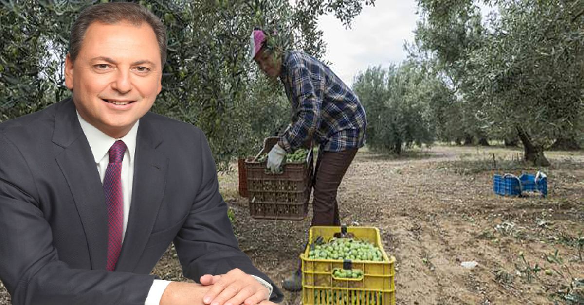 Τι αλλάζει για την εγγραφή στο Μητρώο Αγροτών- Ποιά εισοδήματα δεν θα συνυπολογίζονται