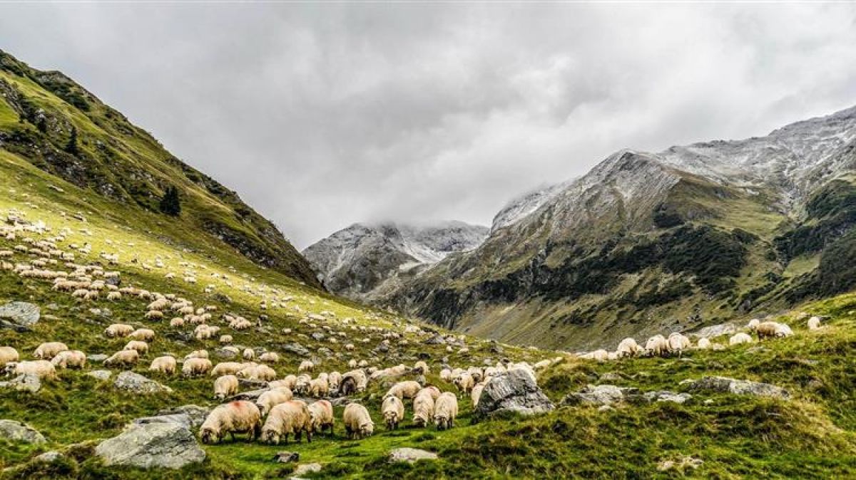 ΕΛΣΤΑΤ: Σε εξέλιξη η Απογραφή Γεωργίας - Κτηνοτροφίας 2021