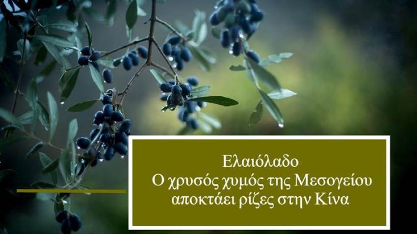 Ελαιόλαδο: Ο χρυσός χυμός της Μεσογείου αποκτάει ρίζες στην Κίνα