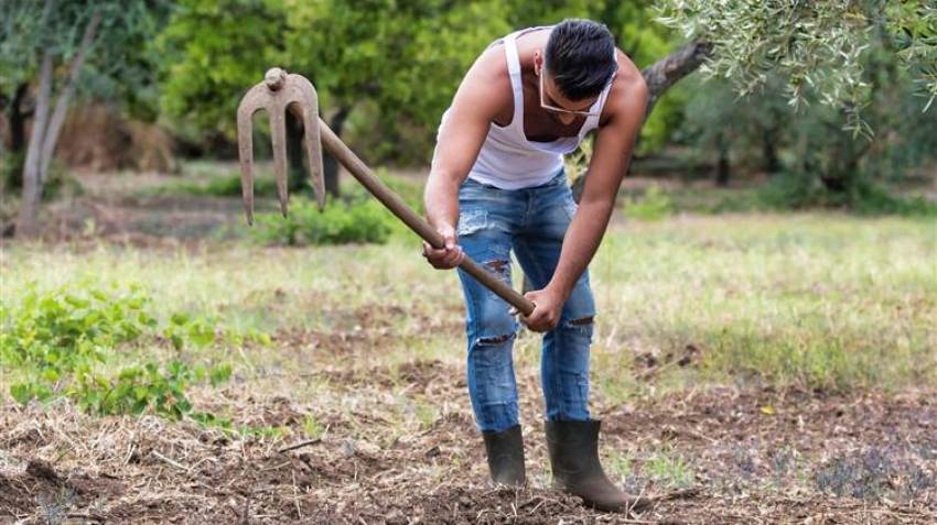 Νέοι αγρότες: Αναρτήθηκαν τα αποτελέσματα