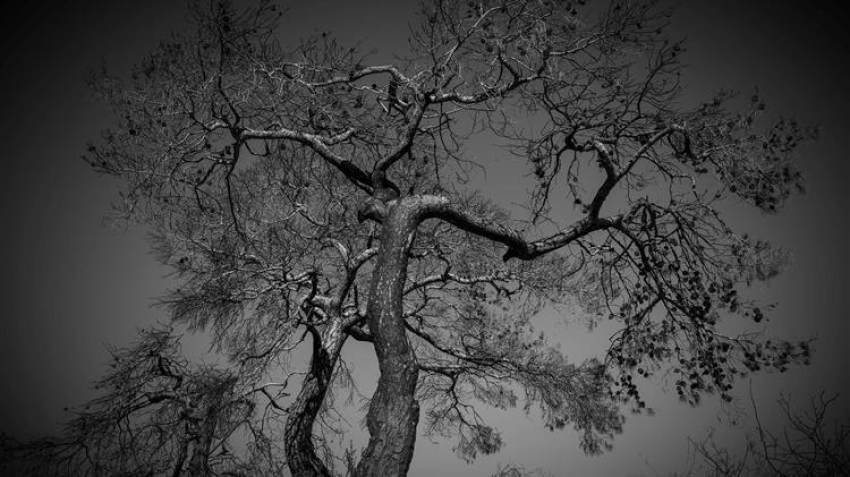 ΠΟΓΕΔΥ: «Πυρηνική βόμβα» το ΟΣΔΕ 2023 θα «σκάσει»