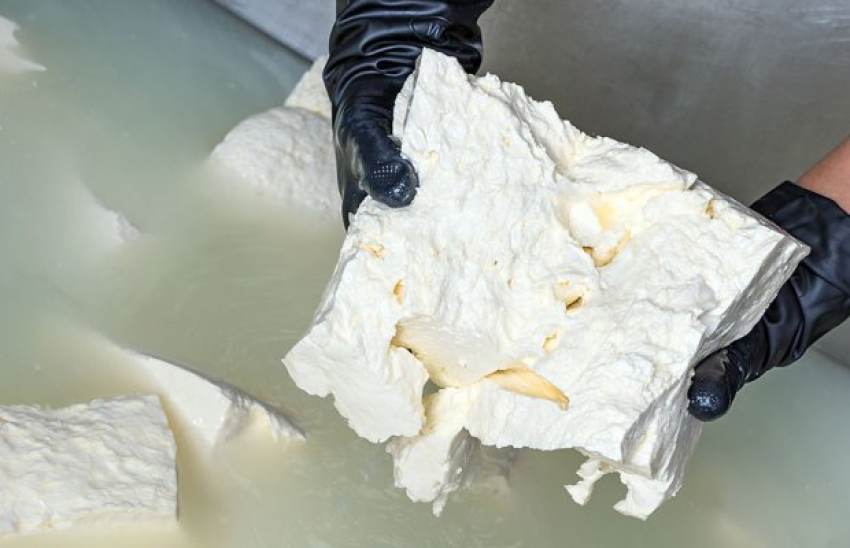 Νέες περιπτώσεις νοθείας στην φέτα, να ανακοινωθούν ονόματα ζητούν οι κτηνοτρόφοι