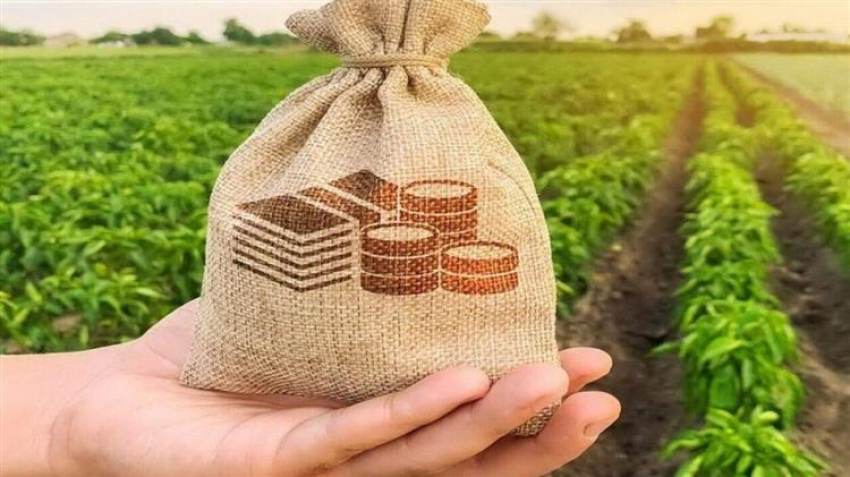 Η Κομισιόν έχει εγκρίνει καθεστώς για άμεσες χορηγίες ως 200.000 ευρώ ανά αγρότη