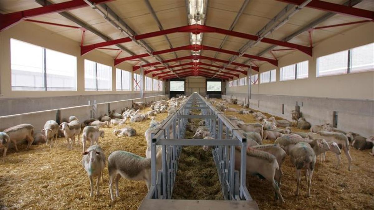 Έναρξη ψηφιακής υποβολής για την αδειοδότηση δραστηριοτήτων του Πρωτογενούς Τομέα στο NotifyBusiness