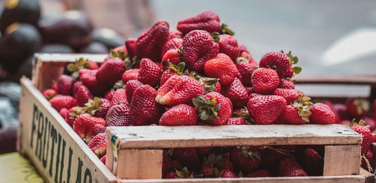 Οι καιρικές συνθήκες δεν βοηθούν τις φράουλες, προβληματισμός για εξαγωγές