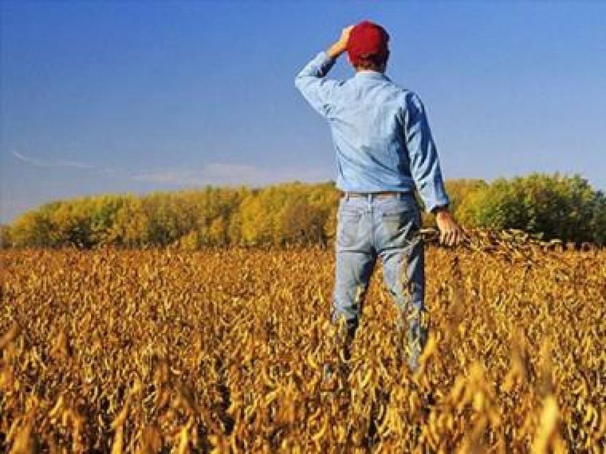 Τι θα πρέπει να προσέξουν οι αγρότες στις φορολογικές δηλώσεις που θα κάνουν