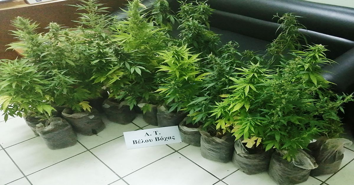 Συνελήφθησαν εκατόν είκοσι οχτώ (128) άτομα σε εκτεταμένη αστυνομική επιχείρηση