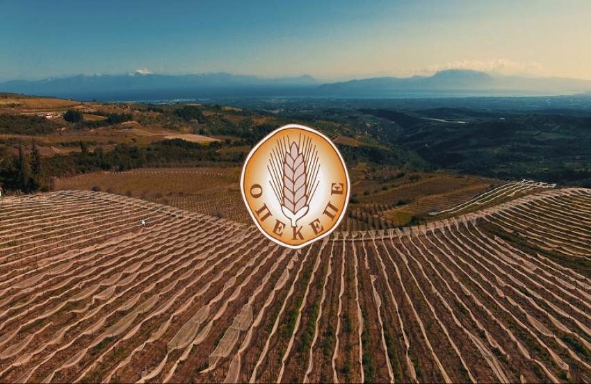 Αποδεκτή η παραίτηση του Προέδρου του ΟΠΕΚΕΠΕ  Ανοίγει νέο κεφάλαιο για τον Οργανισμό