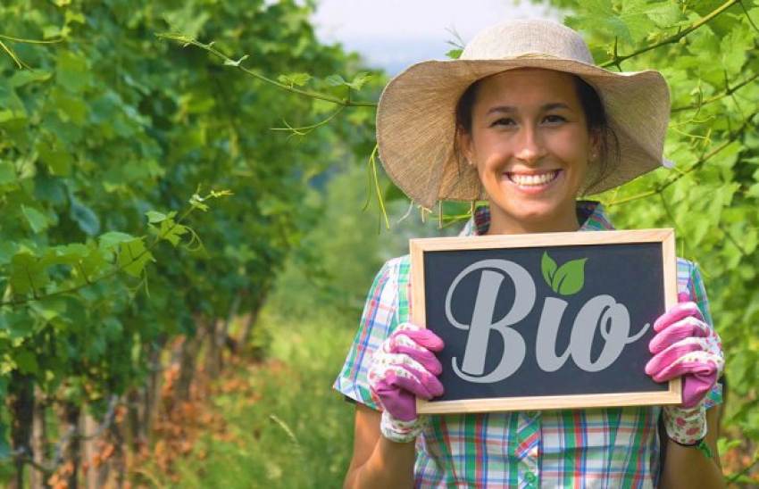 Πιστοποιημένοι βιολογικών Δεκέμβριο πληρωμή eco schemes, ποιους αφορά το Μέτρο 5.2