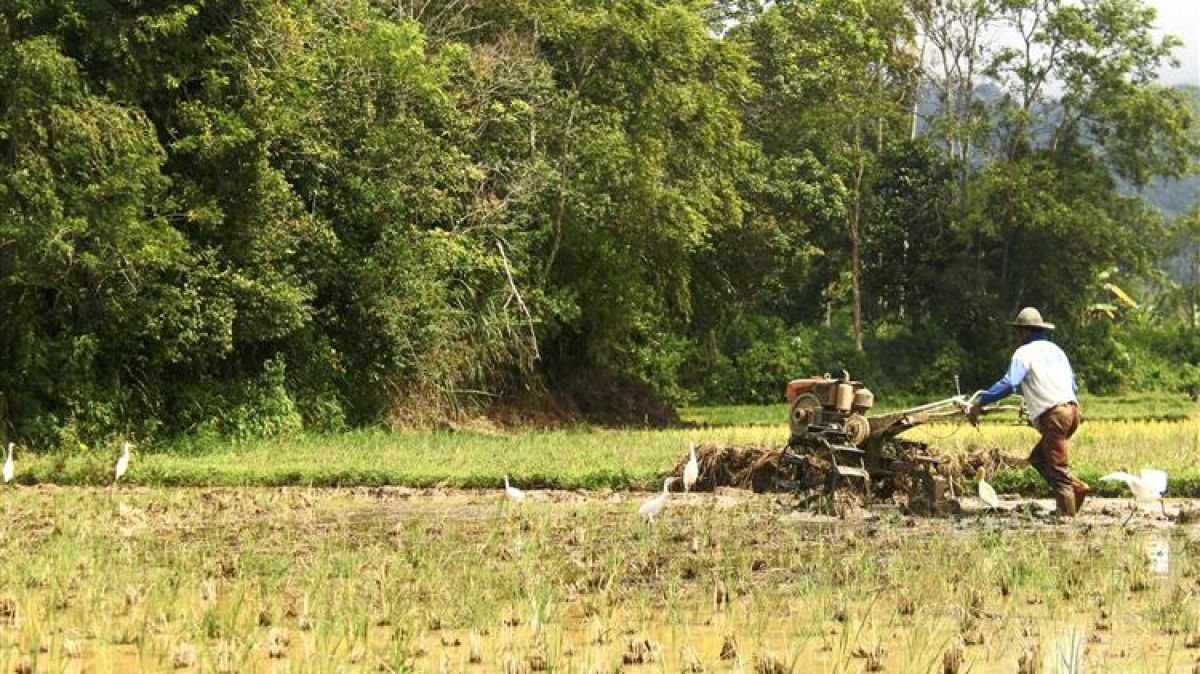 ΕΕ: Η διάρθρωση του γεωργικού τομέα στην Ελλάδα τα τελευταία χρόνια