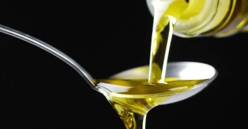 14 βραβεύσεις στην Ιταλία για τους ελαιώνες Σακελλαρόπουλου!