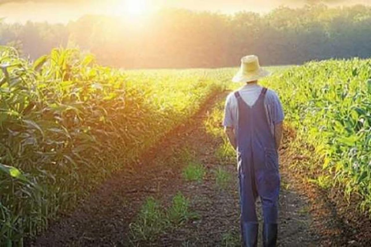 Στρώνεται το έδαφος για ένταξη όλων των υποψήφιων Νέων Αγροτών στο μέτρο με 200 εκατ. επιπλέον