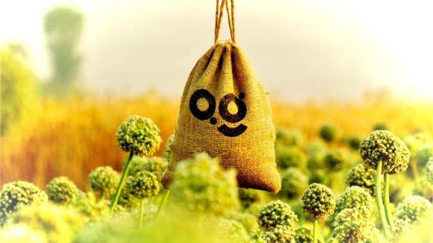 Επενδύσεις στον Αγροτικό Τομέα: Λεφτά υπάρχουν αλλά πού πάνε και με τι κριτήρια δίνονται;