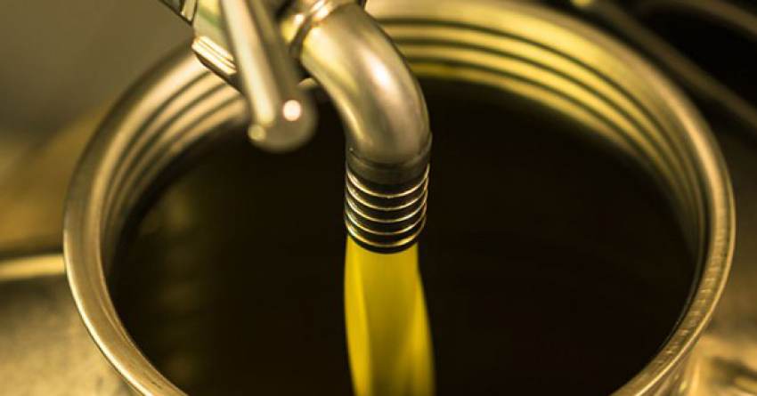 Έκλεψαν 8 τόνους ελαιολάδου αξίας 40.000 ευρώ, συνελήφθησαν έξι άτομα