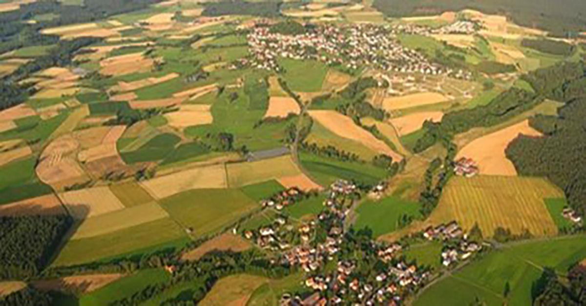 Πώς θα επιστραφούν δασωμένοι αγροί στους κατόχους τους