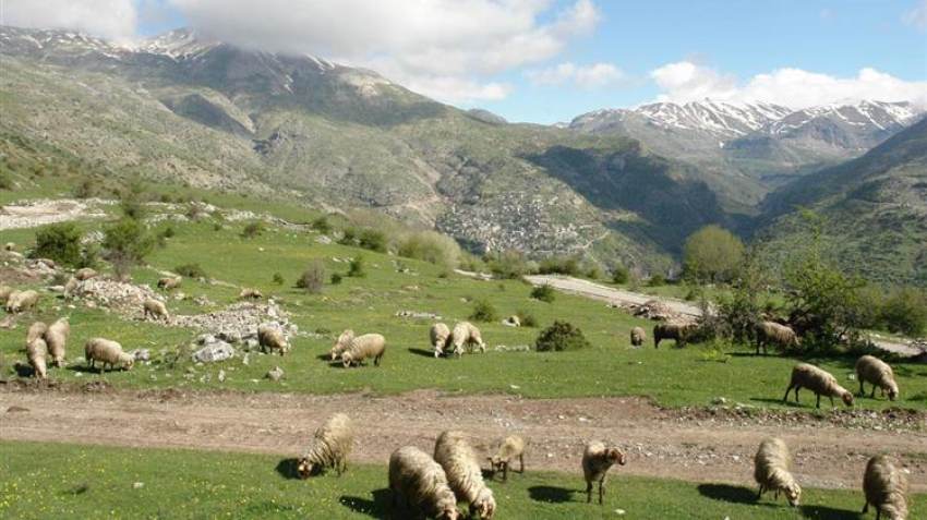 Οι προοπτικές της ελληνικής κτηνοτροφίας «δεν έχουν όριο και τέλος»