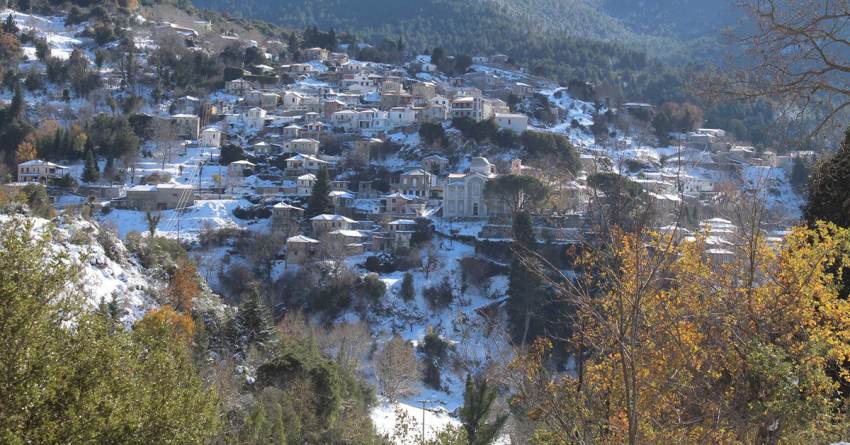 Με τις εκδηλώσεις του ο Γενάρης, όλης της χρονιάς μπροστάρης, στη Βαμβακού!