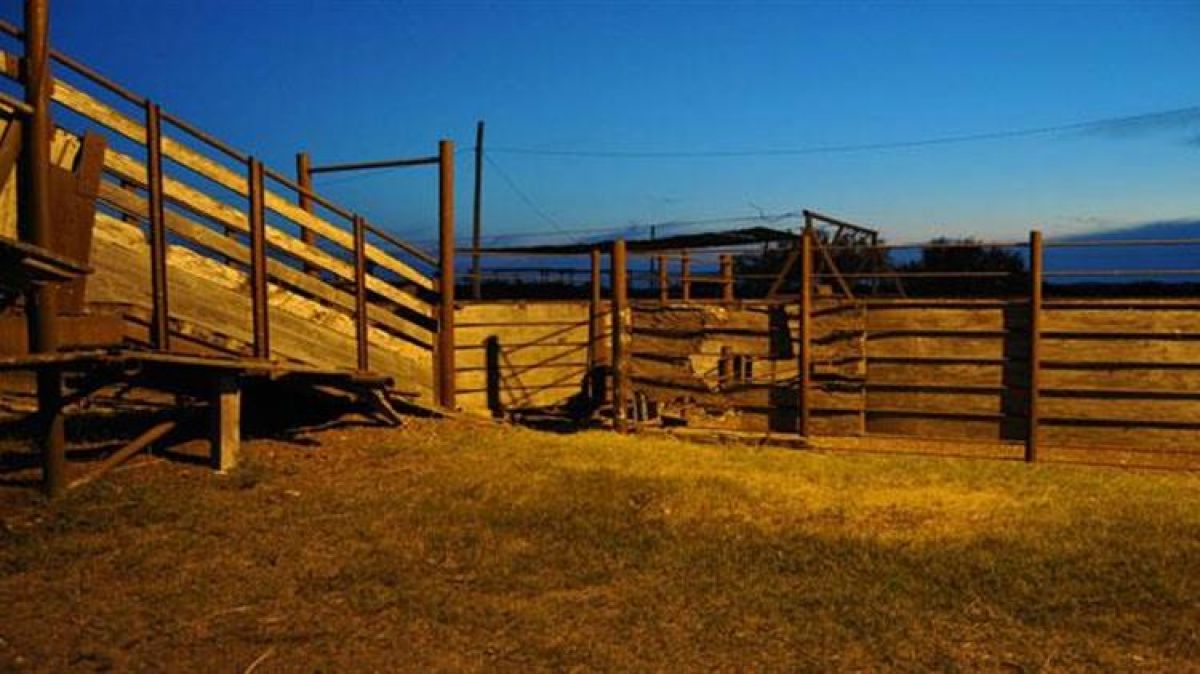 Στη Βουλή το ν/σ για τις σταβλικές εγκαταστάσεις