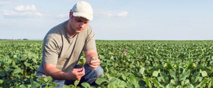 Απαλλαγή καταβολής τέλους επιτηδεύματος το 2022 σε αγρότες με βιβλία