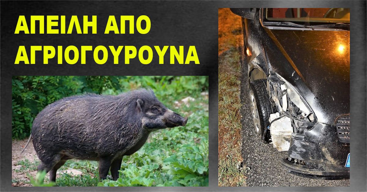 Επιστολή πολίτη: ΑΠΕΙΛΗ ΑΠΟ ΑΓΡΙΟΓΟΥΡΟΥΝΑ για την ανθρώπινη ζωή,την γεωργία,την κτηνοτροφία
