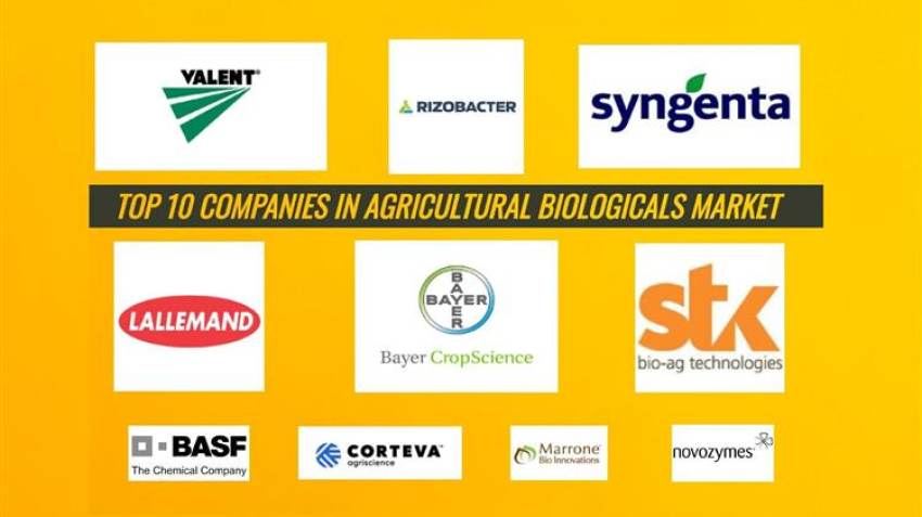 Αυτές είναι οι δέκα κορυφαίες εταιρίες στην αγορά γεωργικών βιολογικών προϊόντων παγκοσμίως