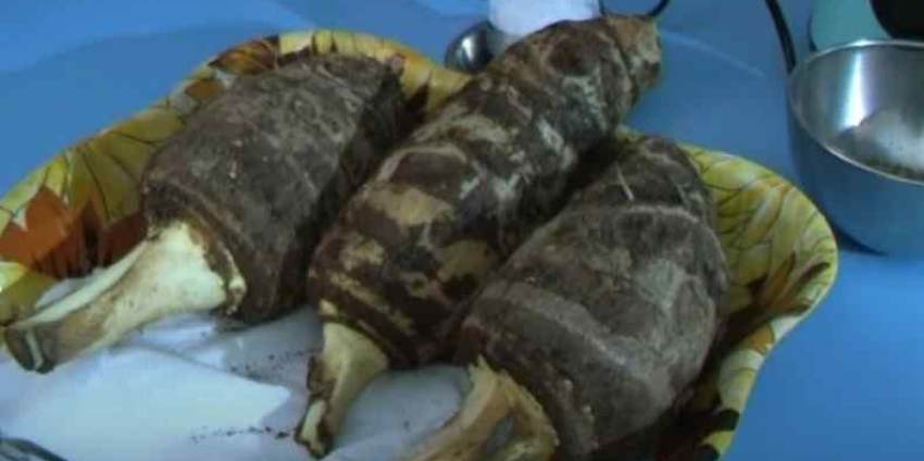 Τo μυστικό της μακροζωίας των Ικαριωτών: Η υπερτροφή που θεωρείται…μαγικός ζωμός