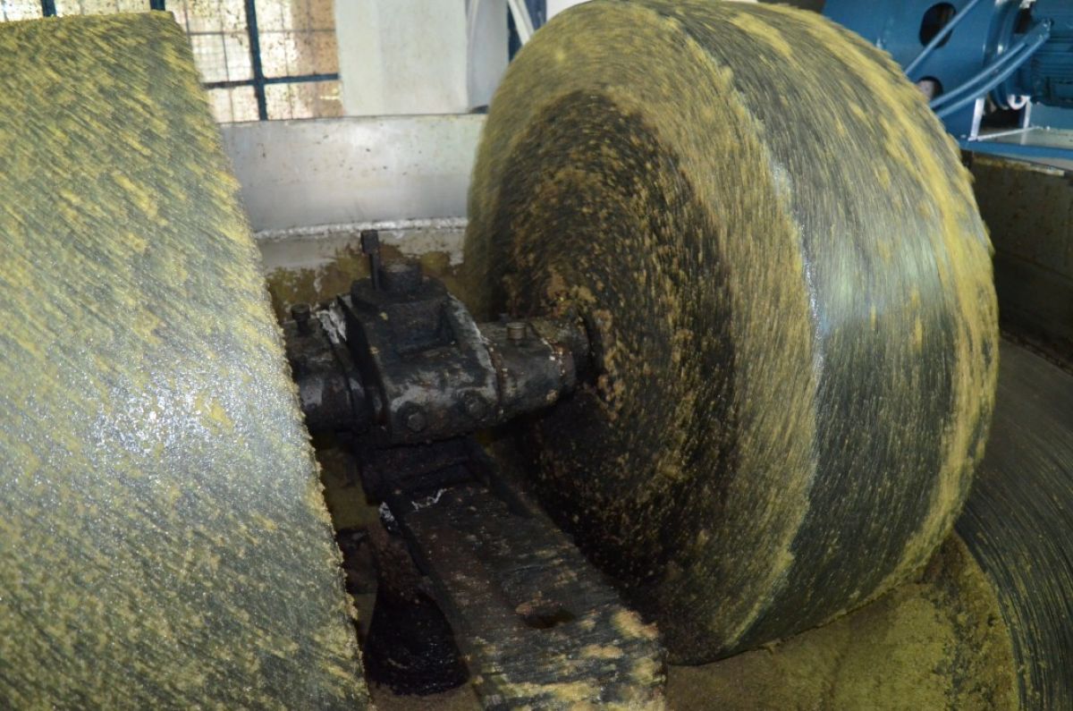 Με πρόγραμμα από 15 Μαΐου όποιος έχει ελιές φτιάχνει ελαιοτριβείο και κάποιος με κοπάδι στήνει νέο τυροκομείο