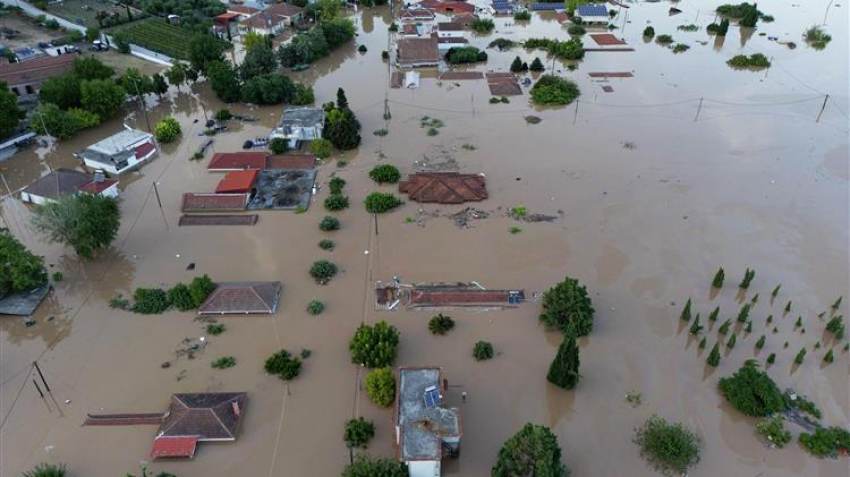 Δ. Σταμενίτης: Νεκρά 38.000 αιγοπρόβατα και 7.000 χοίροι