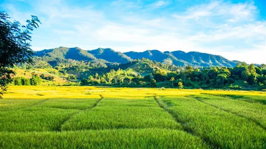 Τέλος επιτηδεύματος: Εξαιρούνται οι αγρότες και αλιείς