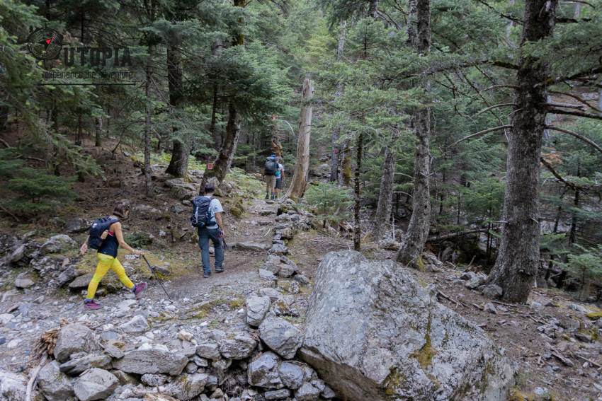 ΠΑΓΚΟΣΜΙΑ ΗΜΕΡΑ ΠΕΡΙΒΑΛΛΟΝΤΟΣ  ΠΕΖΟΠΟΡΙΑ ΣΤΟ ΚΑΤΑΦΥΓΙΟ ΤΟΥ ΤΑΥΓΕΤΟΥ – ΣΑΒΒΑΤΟ 10 ΙΟΥΝΙΟΥ