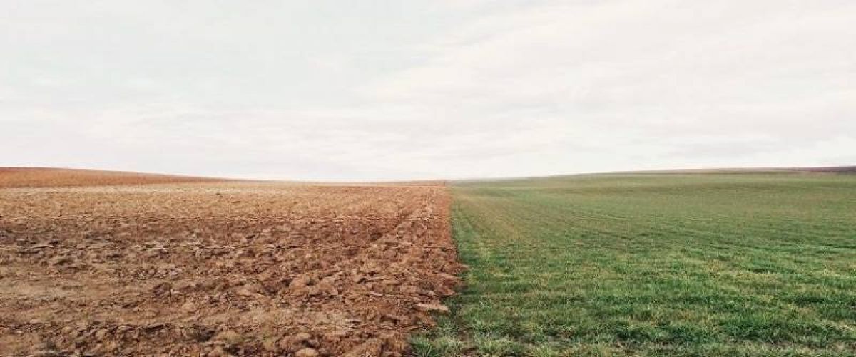 Κλιματική αλλαγή: Μείωση παραγωγής από 50 μέχρι 80%