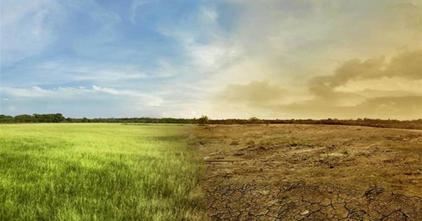 Έξι τροφές που η κλιματική αλλαγή πρόκειται να καταστρέψει