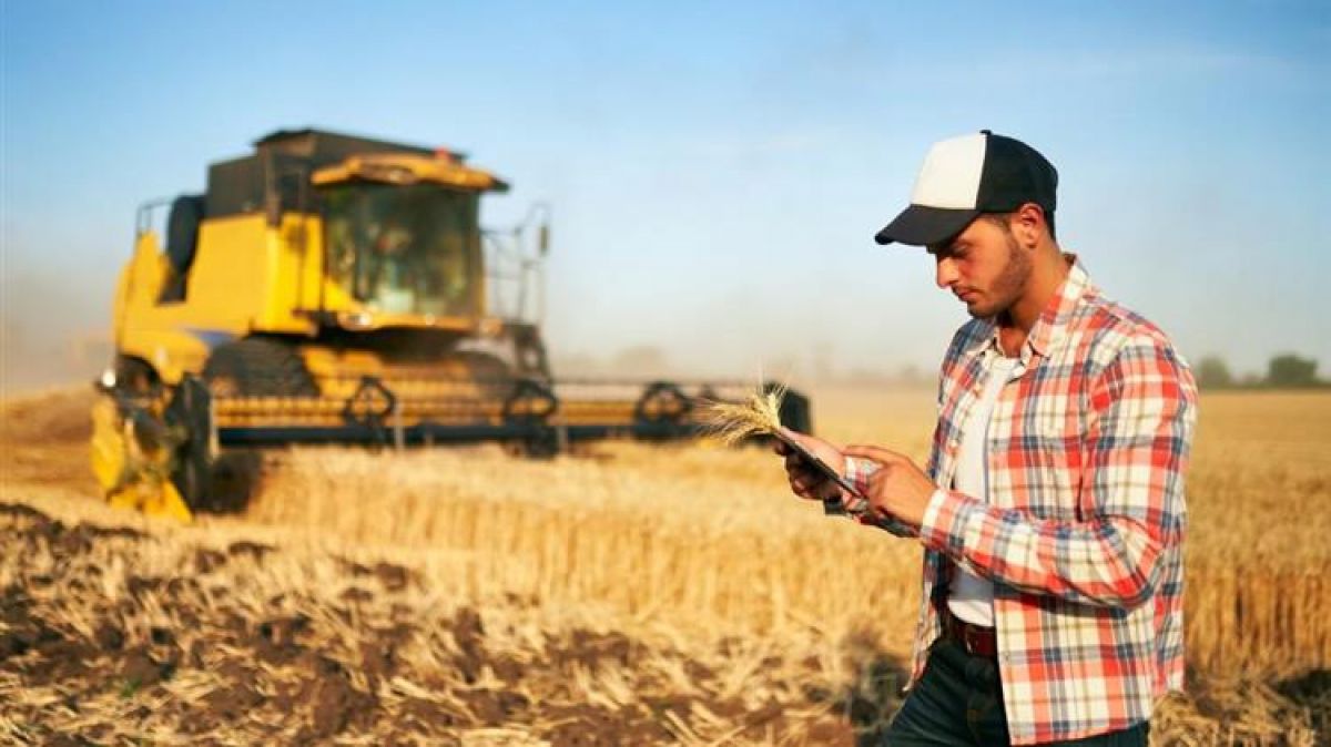 Ενεργοποιήθηκε η ηλεκτρονική υπηρεσία έκδοσης βεβαίωσης Επαγγελματία Αγρότη για το φορολογικό έτος 2020