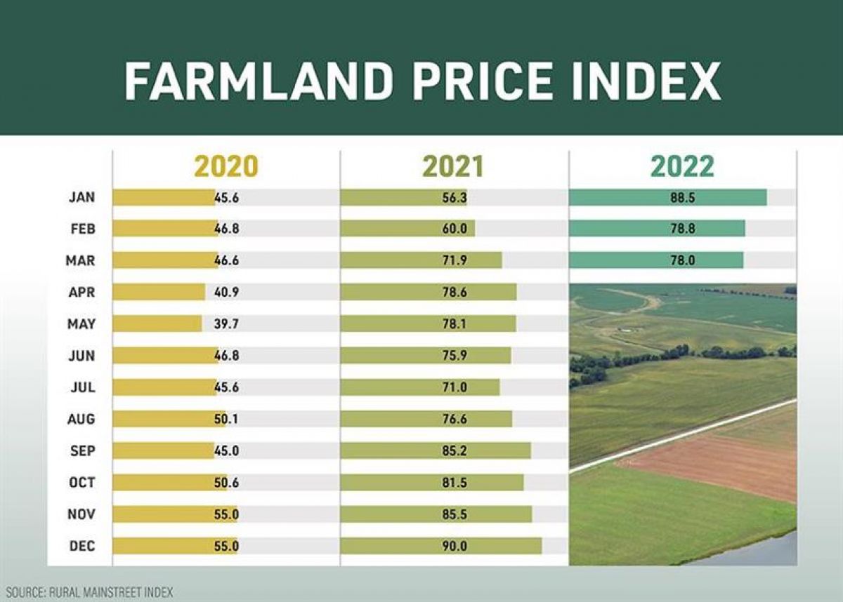 Εκτιμήσεις τραπεζιτών για την αγροτική οικονομία