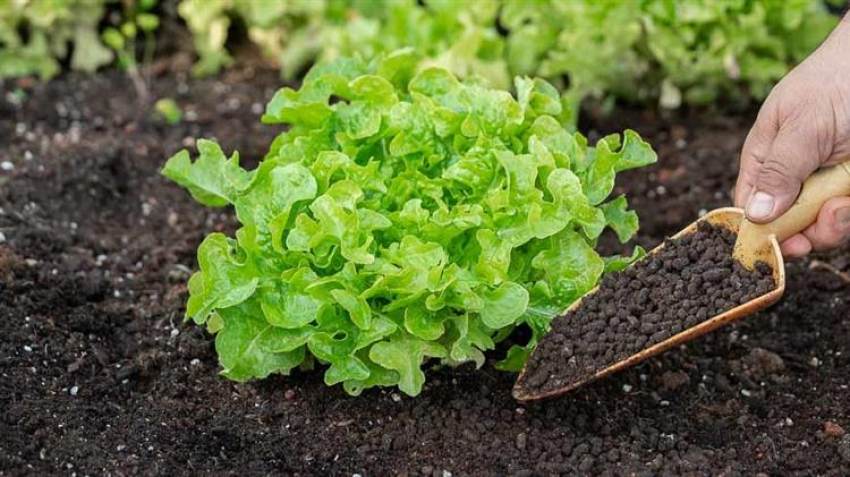 Μετάβαση σε οργανικά λιπάσματα υποστηρίζουν οι ευρωβουλευτές της Επιτροπής Γεωργίας της ΕΕ