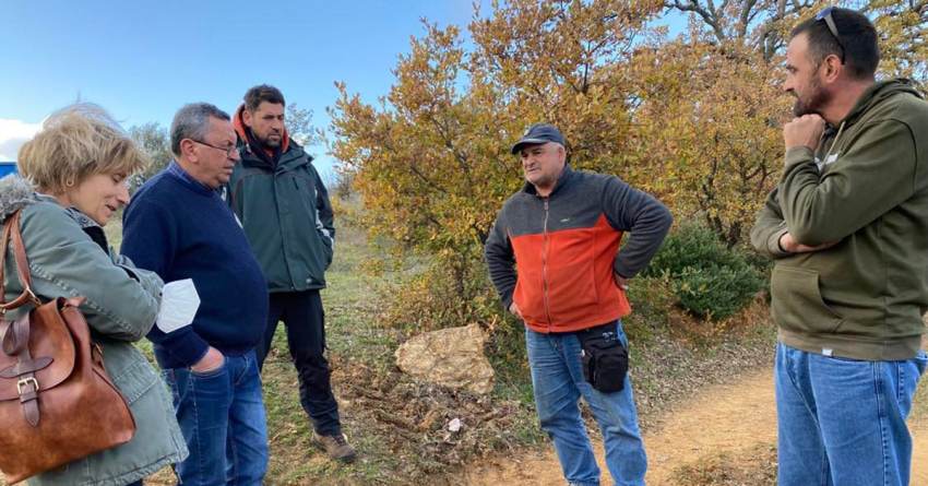 Δήμος Ευρώτα: Αυτοψία ΕΛΓΑ και ΔΑΟΚ για ζημιές από γλοιοσπόριο