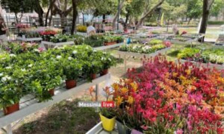 Από 23 μέχρι 29 Μαΐου η 10η Ανθοκομική του Δήμου Καλαμάτας