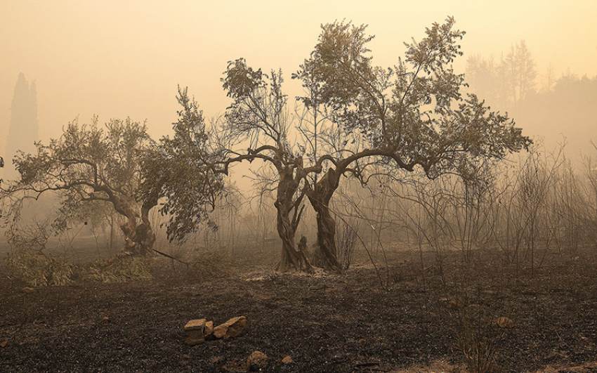 Έρχονται αποζημιώσεις σε αγρότες για ζημιές από φωτιές του 2021