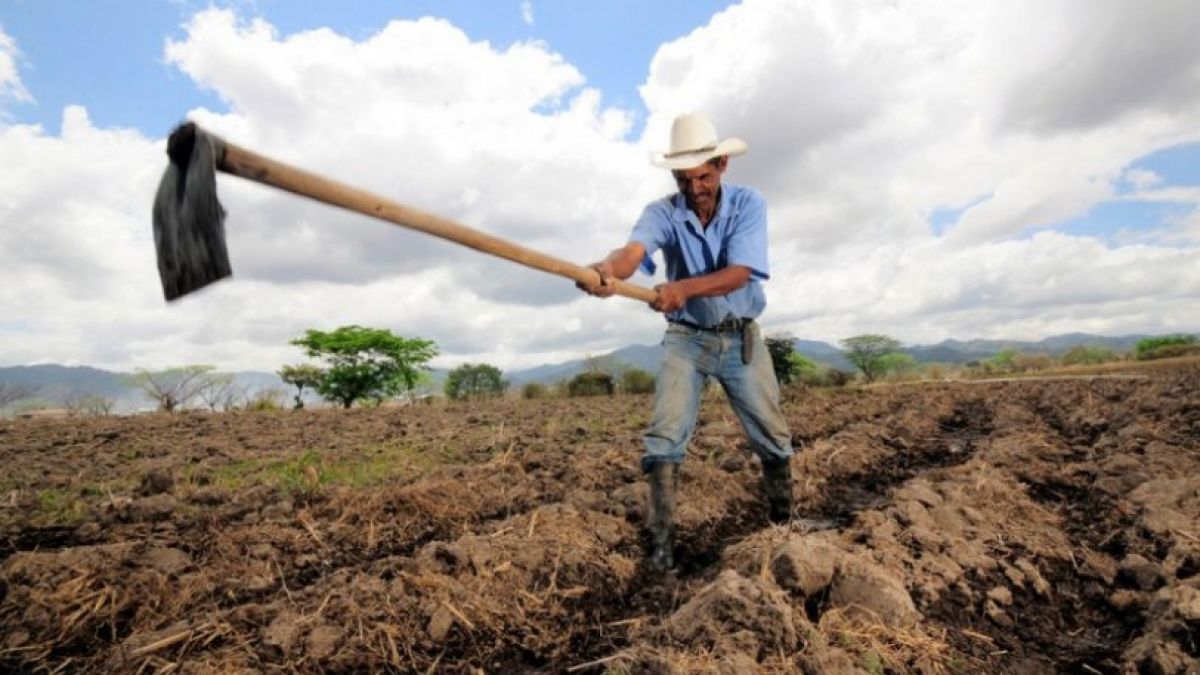 Τομέας Αγροτικής Ανάπτυξης: Το Κράτος «Μήδεια» τρώει τους Αγρότες – Άμεση αποτίμηση και αποζημίωση των ζημίων