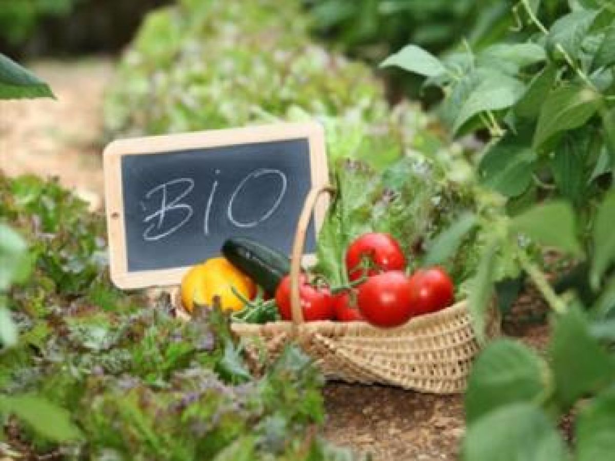 Πάνω από 30.000 αιτήσεις για τη Βιολογική Γεωργία, 31 Μαρτίου λήγει η προθεσμία