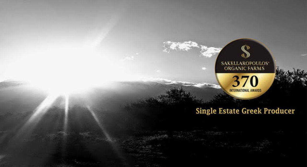 Σας ενημερώνουμε πως σήμερα, 2/12/2021, ανακοινώθηκαν τα αποτελέσματα της παγκόσμιας κατάταξης ελαιολάδων για το 2021.