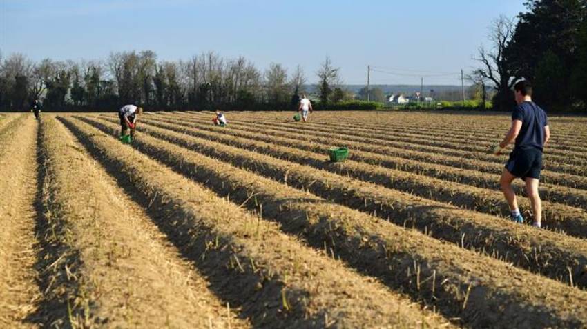 Bloomberg: Οι Βρετανοί αγρότες θα λάβουν επιδοτήσεις μετά το Brexit για να γίνουν πιο πράσινο