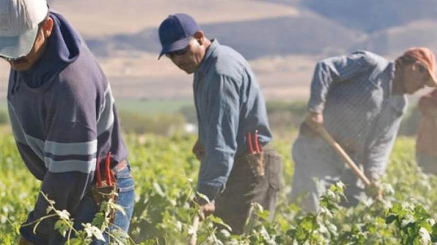 Εργάτες γης: Αυξάνονται οι άδειες διαμονής