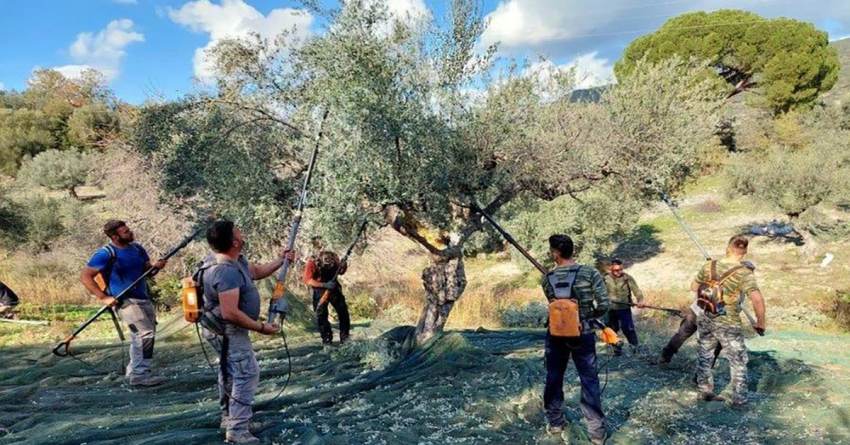 Ευχαριστίες στους νέους του Γερακίου από τον Ποιμενάρχη μας κατά τη διάρκεια της Θ. Λειτουργίας