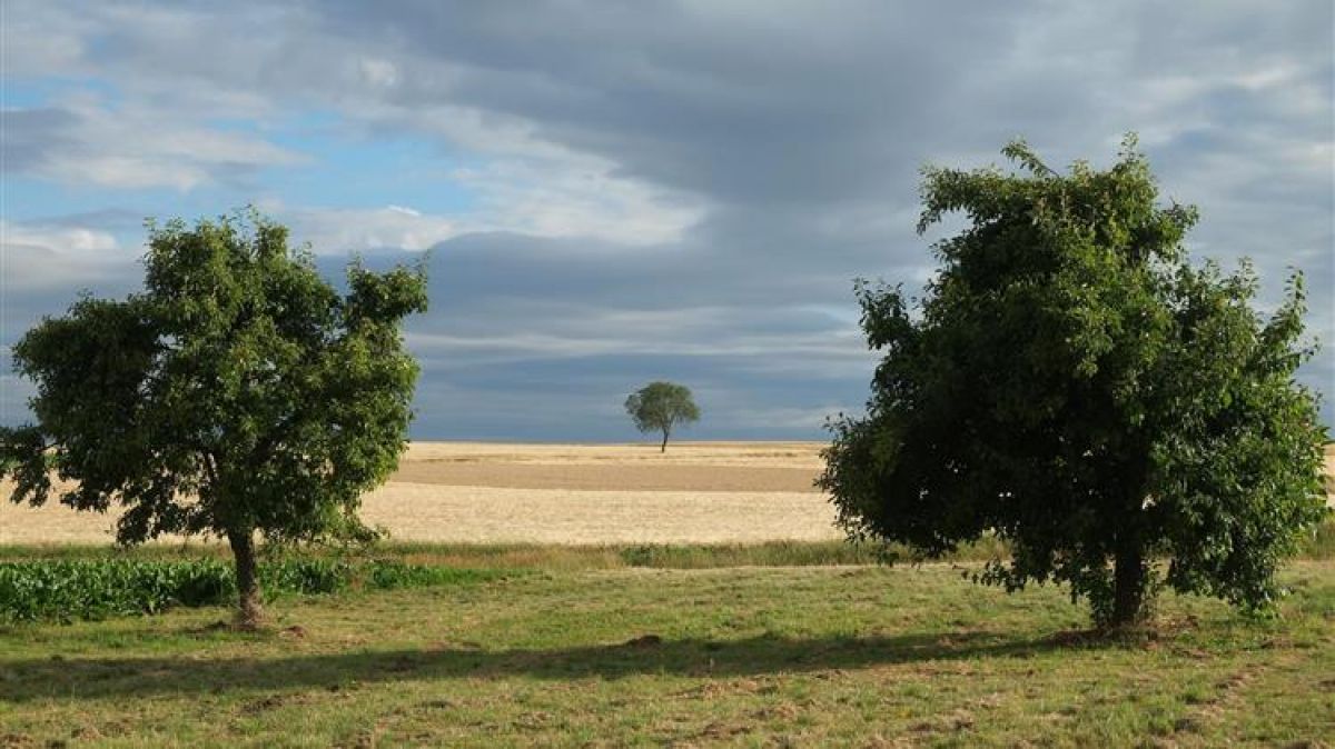 Κορωνοενισχύσεις: Εγκρίθηκαν 815 εκατ. ευρώ για τους αγρότες- αλιείς