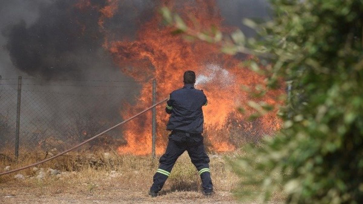 Υπό μερικό έλεγχο η φωτιά σε γεωργική έκταση στο Μαρκόπουλο Ηλείας