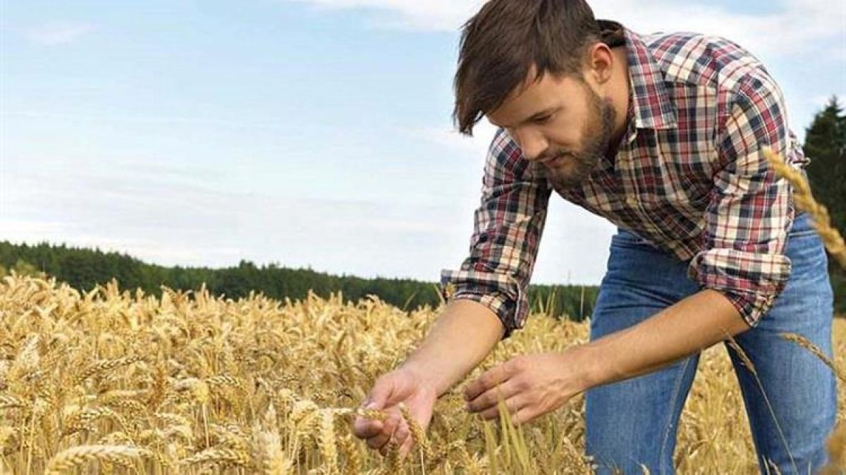 Νέοι αγρότες: Παράταση εξπρές και διαμαρτυρίες για διακρίσεις μεταξύ υποψηφίων από το θεσμικό πλαίσιο του ΠΑΑ