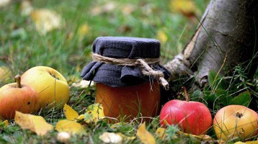 Ποιοι είναι οι βασικοί μοχλοί και οι τάσεις της ζήτησης των καταναλωτών για βιώσιμα αγροτικά προϊόντα;