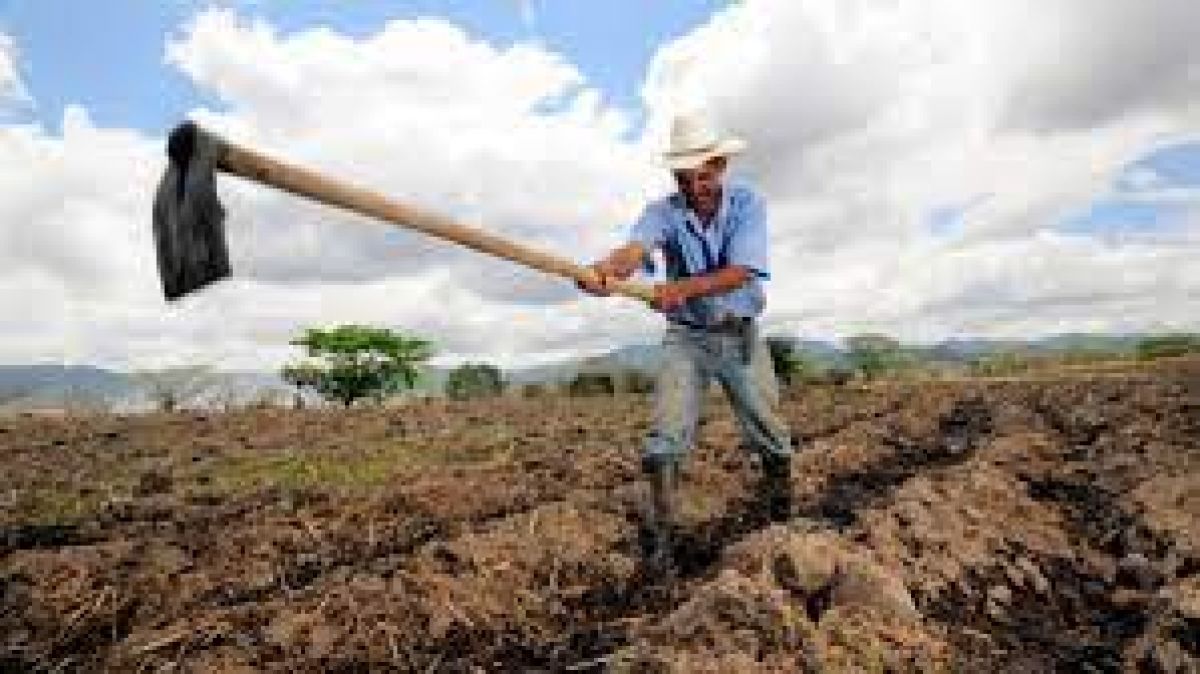 Ενεργοποιήθηκε η ηλεκτρονική υπηρεσία έκδοσης βεβαίωσης Επαγγελματία Αγρότη για το φορολογικό έτος 2020